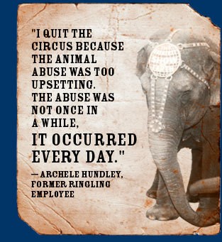elefant