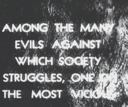 video:the cocaine friends