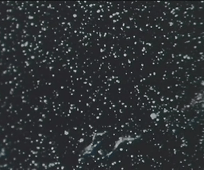 video:attac of the monsters